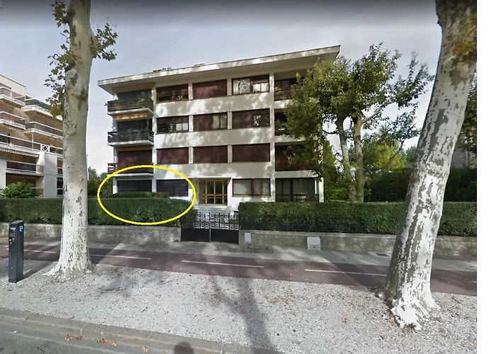 Apartment Bel Appt T2 Centre-ville D'arcachon Avec Terrasse Et Parking Arcachon